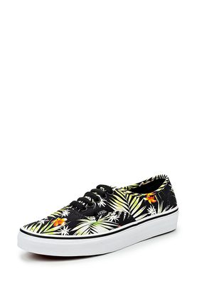 Vans  UA AUTHENTIC (DECAY PALMS